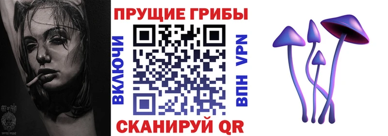Псилоцибиновые грибы Psilocybine cubensis  нарко площадка состав  Ступино  купить закладку 